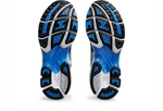 ASICS GEL-Nimbus 10.1