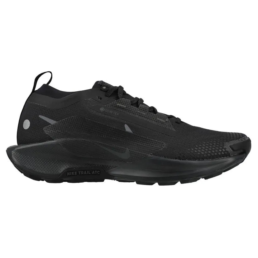 Nike Pegasus Trail 5 GORE-TE